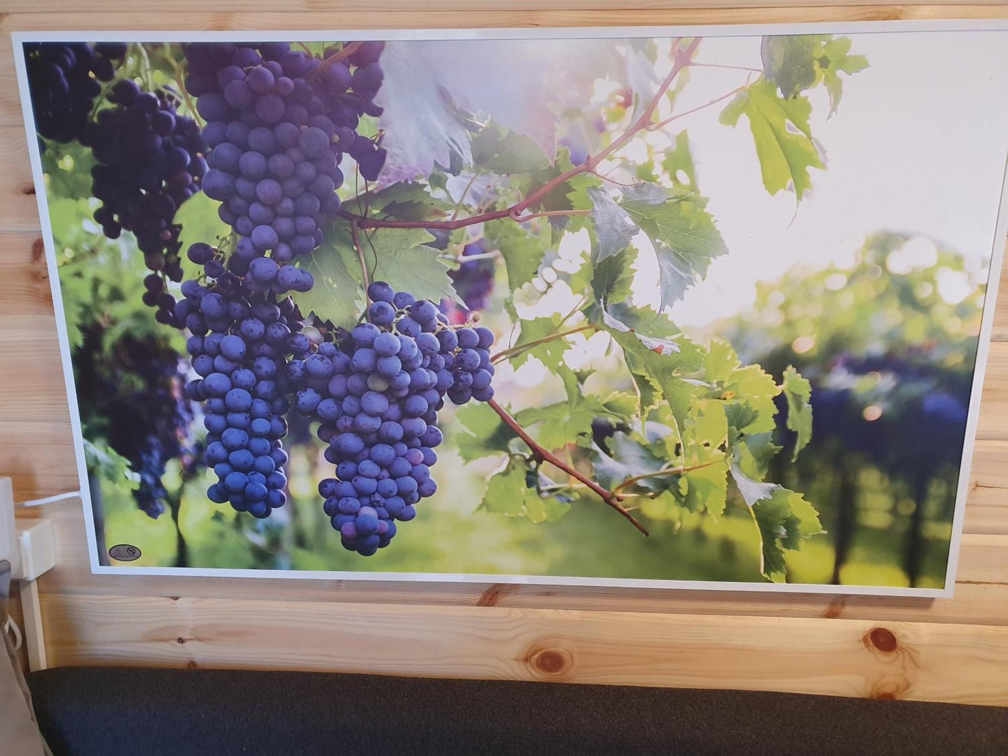 Pension Camping Schausten コッヘム エクステリア 写真