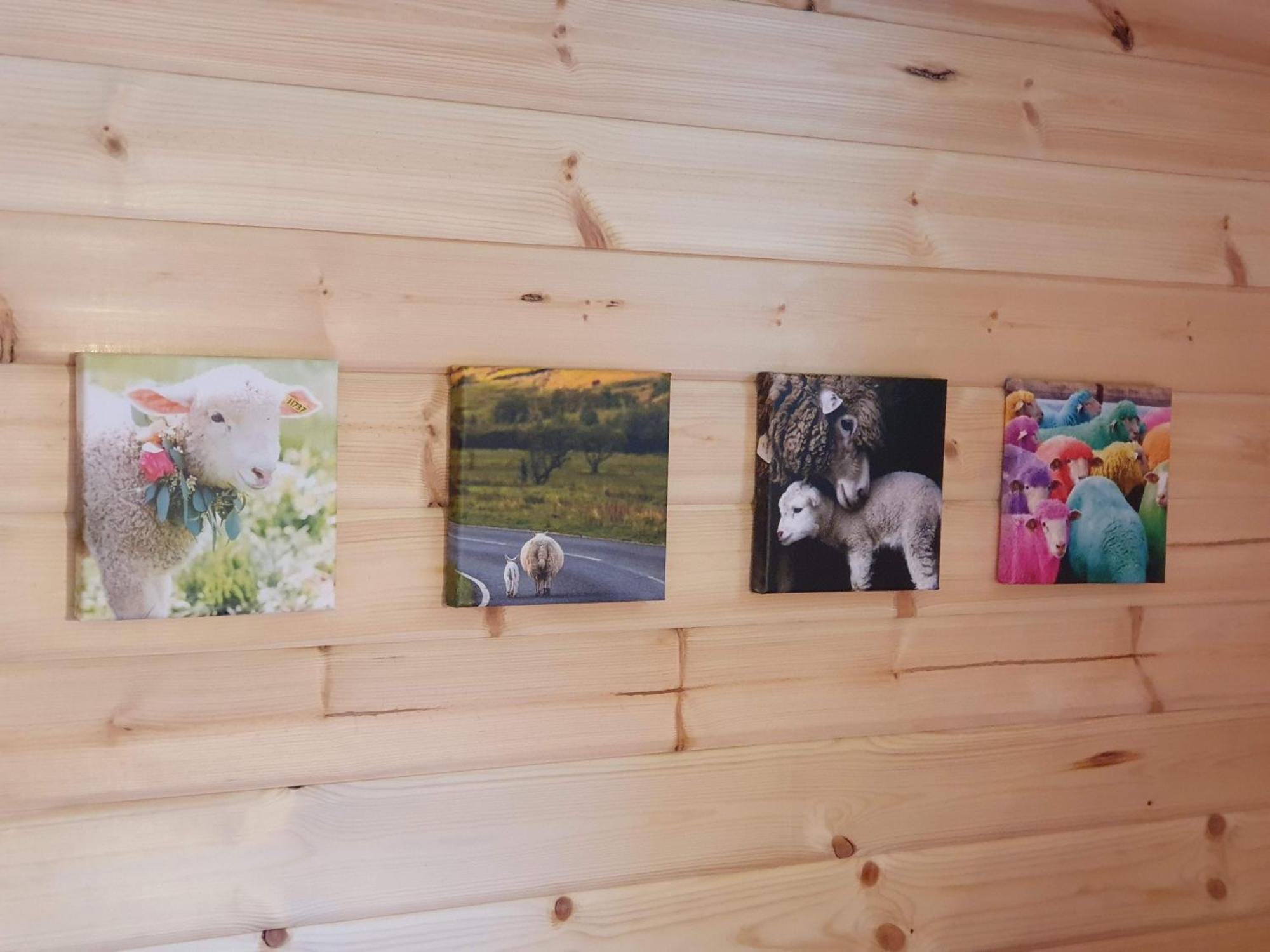 Pension Camping Schausten コッヘム エクステリア 写真