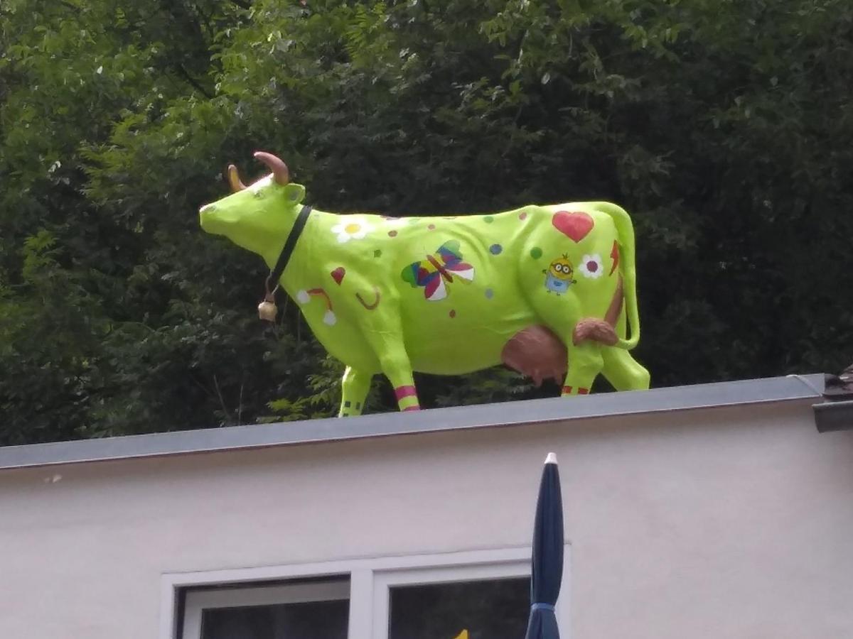 Pension Camping Schausten コッヘム エクステリア 写真